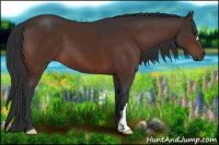 Horse Color:Brown 