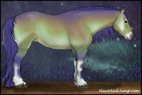 Horse Color:Watercolor Bay Onyx 
