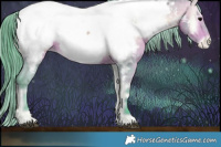 Horse Color:Watercolor Bay Onyx Appaloosa