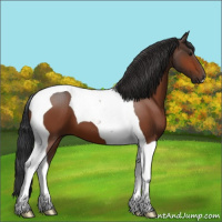 Horse Color:Bay Tobiano 