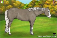 Horse Color:Silver Smoky Black Splash