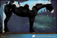 Horse Color:Watercolor Brown Onyx Splash Appaloosa