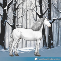 Horse Color:Watercolor White Spotted Silver Brown Chinchilla Dun Appaloosa Brindle 