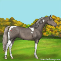 Horse Color:Silver Black Tobiano 