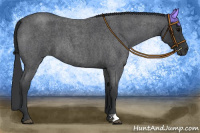 Horse Color:Blue Roan 