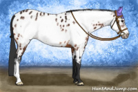 Horse Color:Brown Frame Appaloosa 