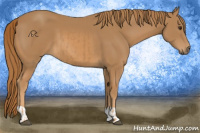 Horse Color:Chestnut  and Chestnut 