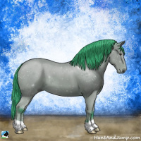 Horse Color:Watercolor Bay 
