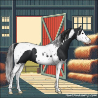 Horse Color:Black Splash Tobiano 
