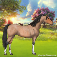 Horse Color:Bay Roan Tobiano 