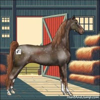Horse Color:Liver Chestnut Sabino Appaloosa 