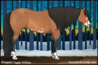 Horse Color:Bay Roan Frame 