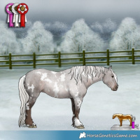 Horse Color:White Spotted Silver Black Mushroom 