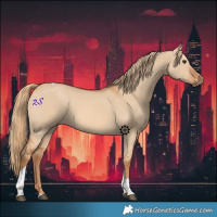 Horse Color:Red Dun Tobiano