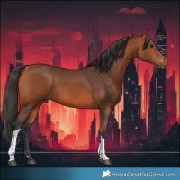 Horse Color:Bay Tobiano 