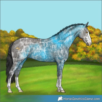 Horse Color:Grullo Ice 