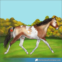 Horse Color:Bay Onyx Tobiano 