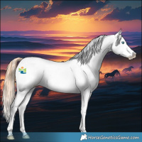 Horse Color:White Spotted Sable Cream Champagne Pearl Splash Appaloosa 