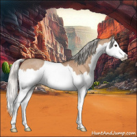 Horse Color:Silver Bay Roan Dun Splash 