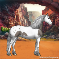 Horse Color:Grullo Splash Tobiano 
