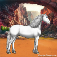 Horse Color:Silver Brown Roan Dun Splash 