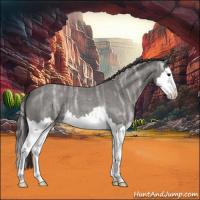 Horse Color:Smoky Blue Ice Roan Splash 