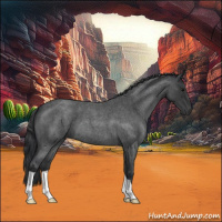 Horse Color:Blue Roan 