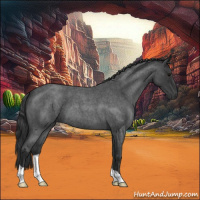 Horse Color:Blue Roan 