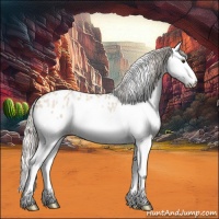 Horse Color:Silver Bay Roan Dun Splash Appaloosa