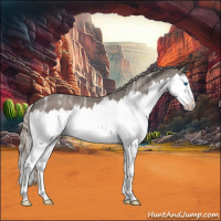 Horse Color:Silver Blue Ice Roan Splash 