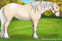 Horse Color:Silver Buckskin Pearl Snowflake Varnish