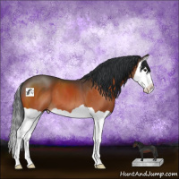 Horse Color:Brown Splash