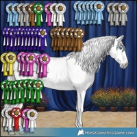Horse Color:Gray Silver Amber Champagne Splash 