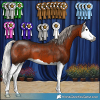 Horse Color:Gray Silver Bay Splash 