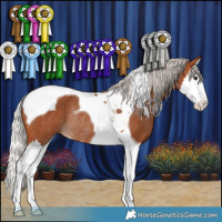 Horse Color:Silver Bay Splash Tobiano Rabicano