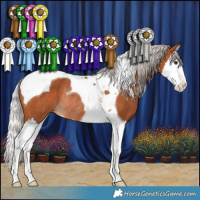 Horse Color:Silver Bay Splash Tobiano Rabicano 