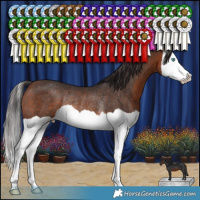 Horse Color:Brown Splash Rabicano