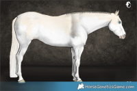 Horse Color:Palomino Roan Pearl Dun Splash 