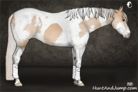Horse Color:Silver Brown Dun Splash Tobiano 