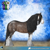 Horse Color:Brown Dun Mushroom Sabino Brindle 