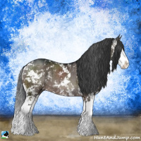 Horse Color:Brown Dun Mushroom Sabino Splash Rabicano Brindle