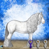 Horse Color:Liver Red Dun Sabino Splash Brindle 