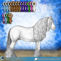 Horse Color:Brown Dun Mushroom Sabino Splash Rabicano Brindle