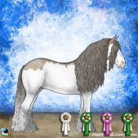Horse Color:Liver Red Dun Mushroom Sabino Splash Brindle