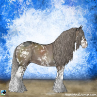Horse Color:Liver Red Dun Mushroom Sabino Splash 
