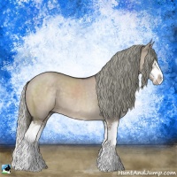 Horse Color:Liver Red Dun Mushroom Sabino Splash 