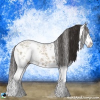 Horse Color:Liver Red Dun Ice Sabino Splash 