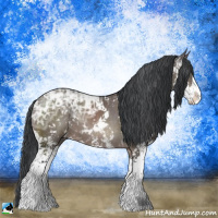 Horse Color:Brown Ice Dun Mushroom Sabino Rabicano