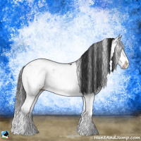 Horse Color:Brown Sabino Splash