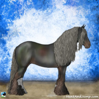 Horse Color:Liver Chestnut Mushroom 